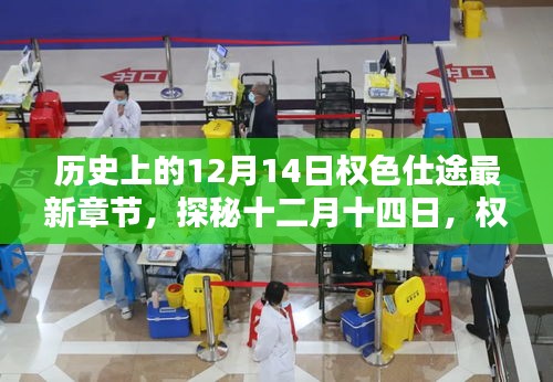 探秘权色仕途隐秘小巷的特色小店，十二月十四日最新章节揭秘