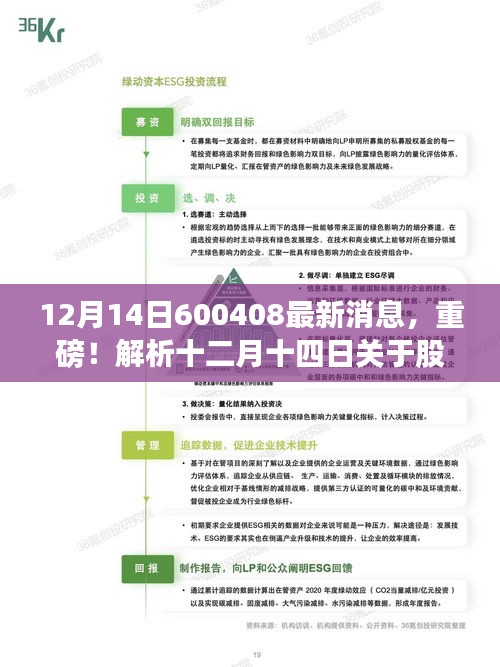 股票代码600408最新消息解析，十二月十四日的动态及其深远影响重磅来袭