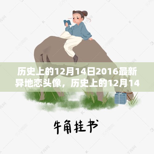 比翼鸟 第4页