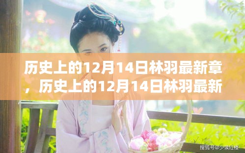 历史上的12月14日林羽最新章深度测评与介绍