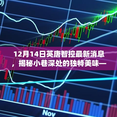 揭秘英唐智控日下的独特美味，小巷深处的惊喜发现