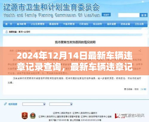 2024年车辆违章记录查询指南，最新车辆违章查询及处理方式