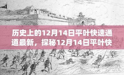 无影无踪 第3页