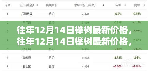 往年12月14日榉树价格走势解析，多元观点下的市场趋势分析