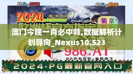 澳门今晚一肖必中特,数据解析计划导向_Nexus10.523