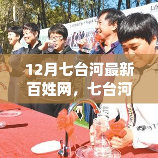 观点阐述，七台河百姓网聚焦民生信息，共创智慧社区十二月新动态解析