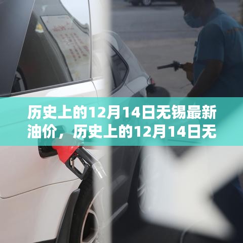 历史上的12月14日无锡油价解析，波动趋势与个人观点