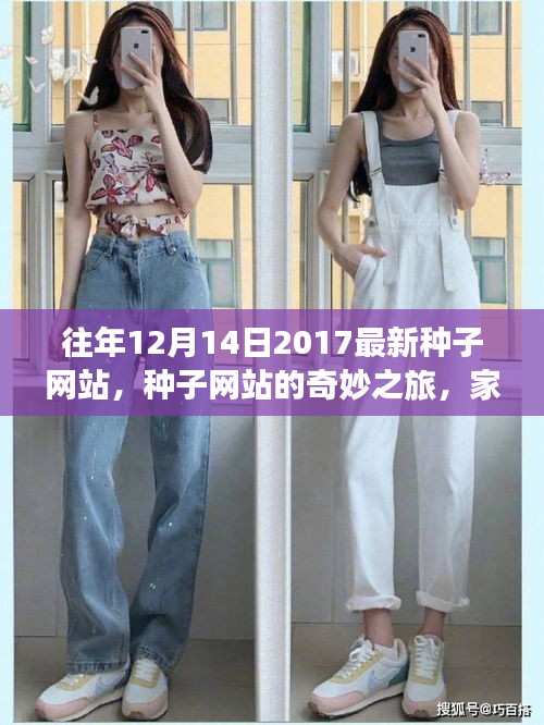 家庭温馨故事，种子网站的奇妙之旅与往年最新资讯回顾