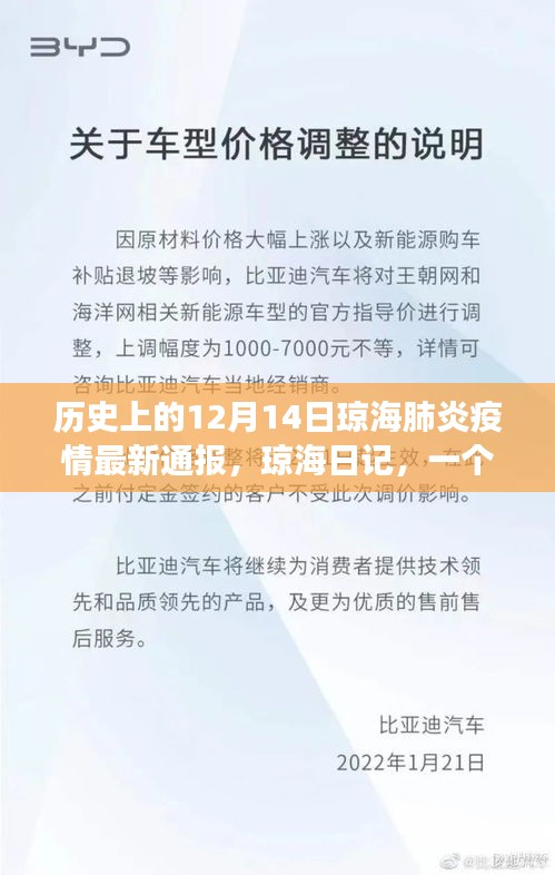 历史上的12月14日琼海肺炎疫情最新通报，爱与陪伴的温馨日常故事