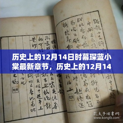 历史上的12月14日幕琛蓝小棠最新章节，历史与情感的交织佳作。