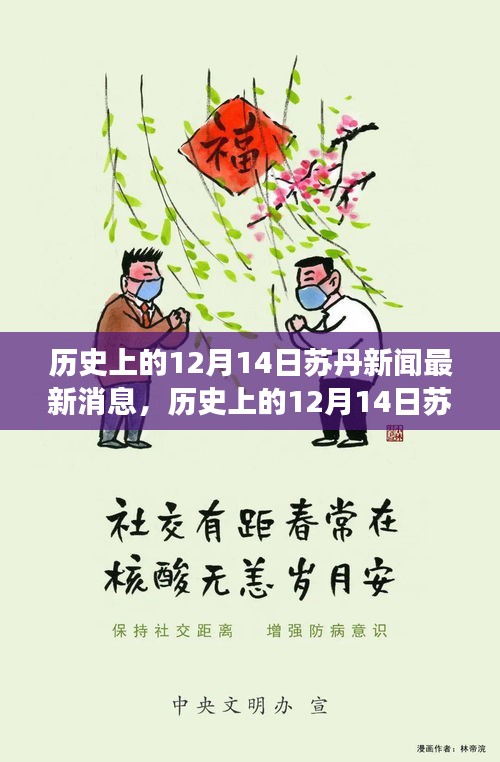 历史上的12月14日苏丹新闻深度解读与观点阐述，多维度视角下的最新消息