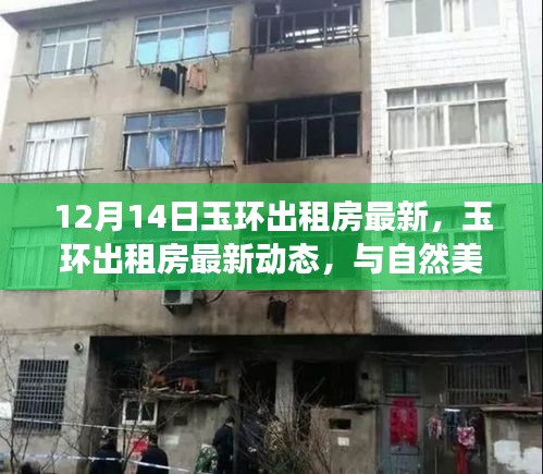 玉环出租房最新动态，与自然美景相遇，重拾宁静的租房之旅