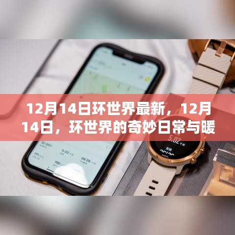 环世界奇妙日常与暖心友谊，最新更新报告（12月14日）