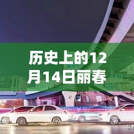丽春镇，揭秘历史上的十二月十四日最新规划