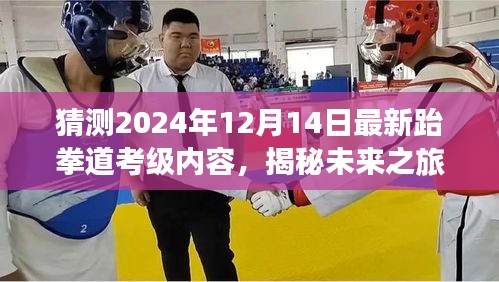 揭秘未来跆拳道考级新动向，大自然与心灵的双重魅力探寻之旅，2024年最新预测