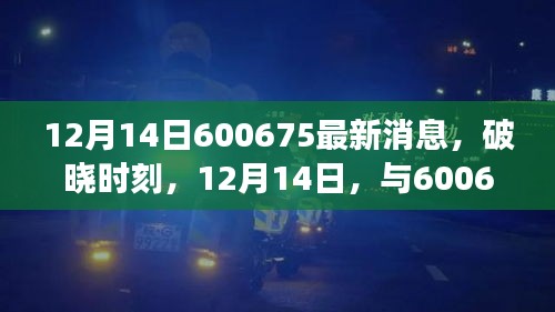 见证蜕变的力量，最新消息揭秘，与代码600675共度破晓时刻
