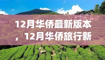 风流潇洒 第4页