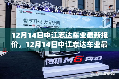 12月14日中江志达车业最新报价及市场趋势解析