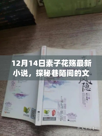 素子花殇最新小说探秘，巷陌间的文学秘境与背后的故事揭秘