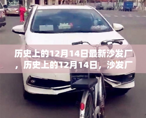 东张西望 第3页