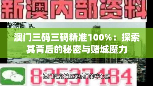 澳门三码三码精准100%：探索其背后的秘密与赌城魔力