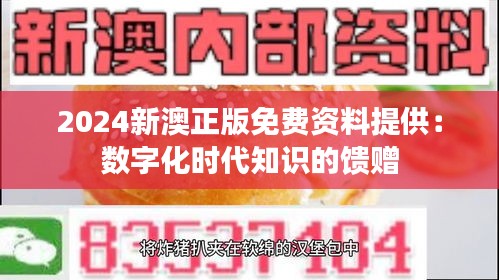 2024新澳正版免费资料提供：数字化时代知识的馈赠