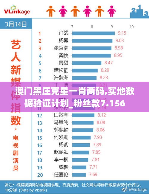 澳门黑庄克星一肖两码,实地数据验证计划_粉丝款7.156