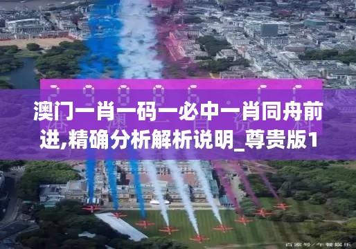 澳门一肖一码一必中一肖同舟前进,精确分析解析说明_尊贵版10.590