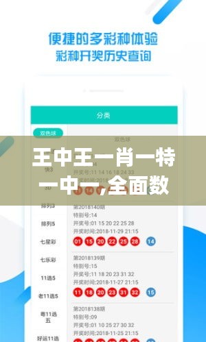 王中王一肖一特一中一,全面数据应用分析_Windows110.472