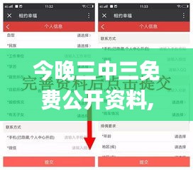 今晚三中三免费公开资料,安全评估策略_BT8.348