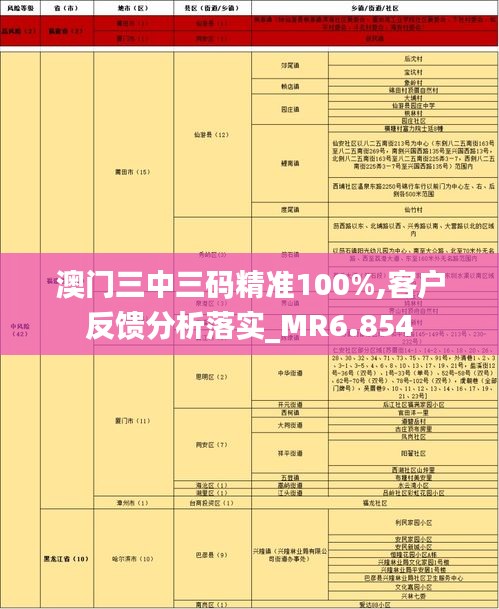 澳门三中三码精准100%,客户反馈分析落实_MR6.854