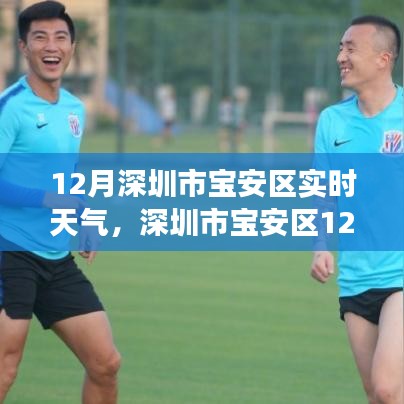 深圳市宝安区12月实时天气探索之旅，自然美景与内心宁静的追寻