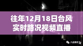 台风下的惊喜直播，探秘小巷特色小店与实时路况视频直播回顾