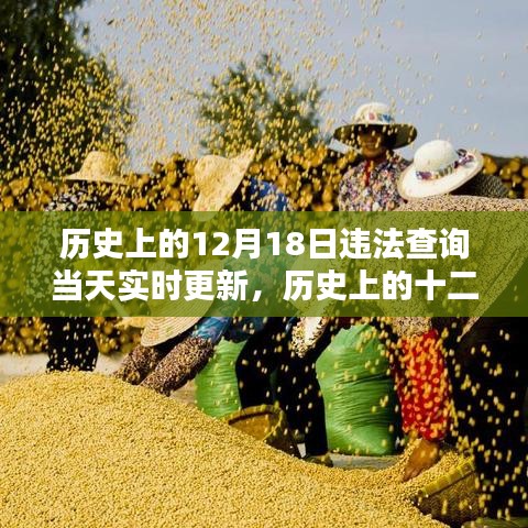 历史上的十二月十八日，探寻值得铭记的瞬间与实时更新的违法查询资讯
