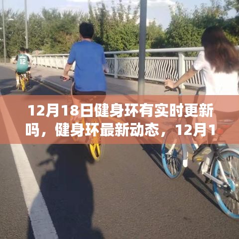 12月18日健身环更新引领健康生活新纪元，实时动态与最新资讯