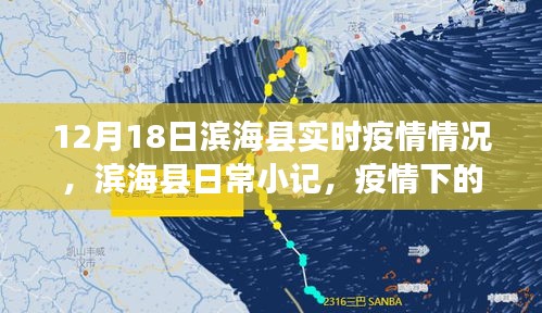 滨海县实时疫情更新与日常小记，温情与日常小趣事在疫情期间展现