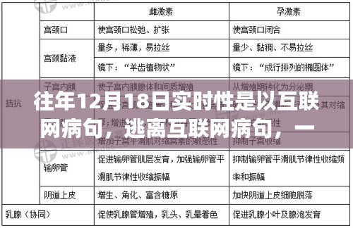 逃离互联网病句，与自然美景的邂逅之旅