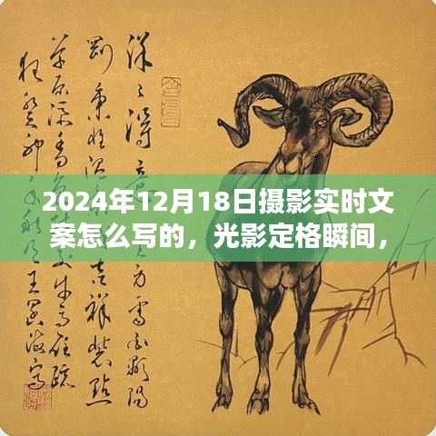光影定格瞬间，探索摄影艺术的时代印记，揭秘如何撰写摄影实时文案——以2024年12月18日为灵感之源