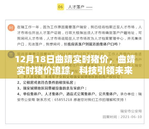 曲靖实时猪价追踪，科技引领养猪业新纪元