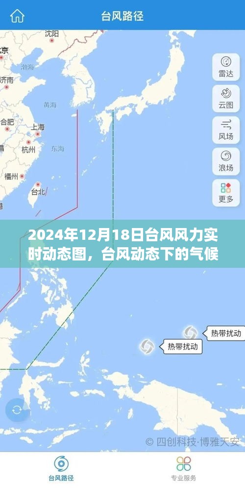 关于台风动态下的气候观察，深入解析与观点阐述
