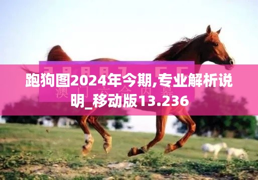 跑狗图2024年今期,专业解析说明_移动版13.236