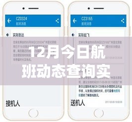 CZ3613航班动态实时查询之旅，探索巷弄深处的隐藏瑰宝特色小店探索之旅