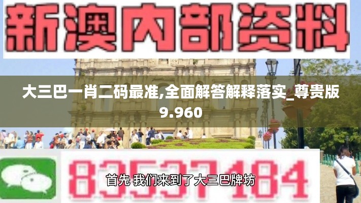 大三巴一肖二码最准,全面解答解释落实_尊贵版9.960