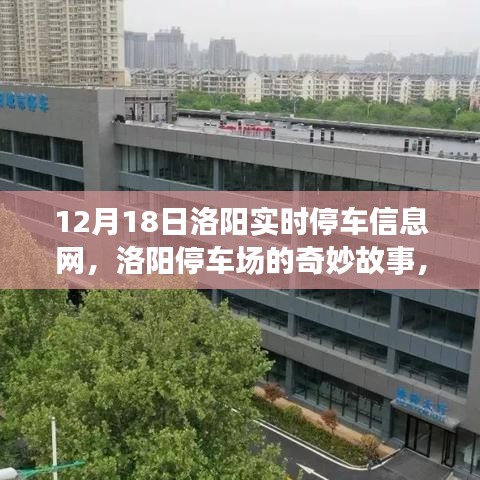 洛阳停车场故事，友情、陪伴与冬日暖阳纪实（12月18日实时更新）