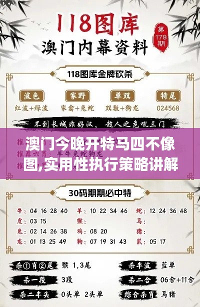 澳门今晚开特马四不像图,实用性执行策略讲解_交互版5.678