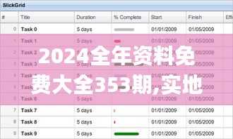 2024全年资料免费大全353期,实地考察数据解析_kit5.473
