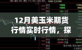 真独简贵 第3页