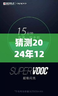 揭秘未来，2024年手机实时视频技术展望与预测，两部手机展现未来科技风采