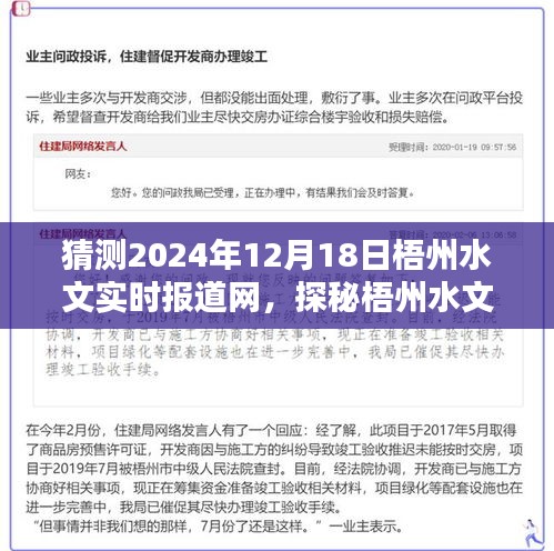 探秘梧州水文秘境，实时报道带你走进特色时光，梧州水文实时报道网独家呈现（2024年12月18日）
