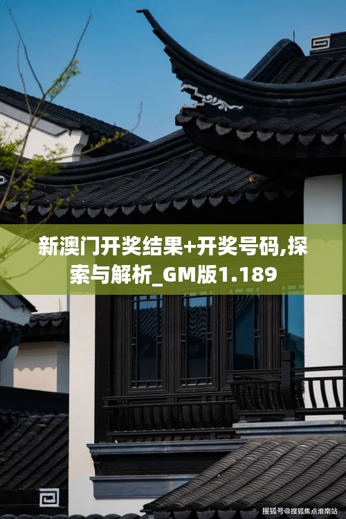 新澳门开奖结果+开奖号码,探索与解析_GM版1.189